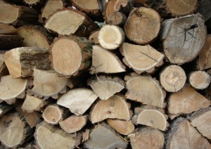 importance-of-seasoned-firewood-boston-ma-billy-sweet-chimney-sweep
